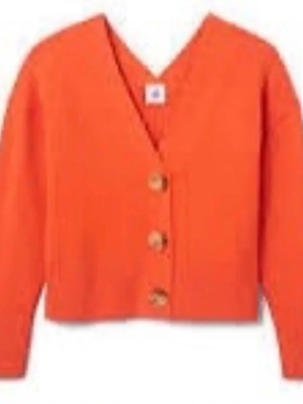 Fall Sweater NWT CAbi